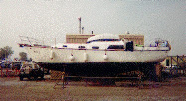 G234_on_land_pmitham.jpg