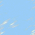 B28back.gif