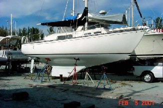 G30 Sea Gryphon