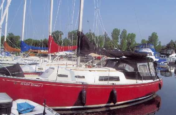 Scarlet Runner at Dock