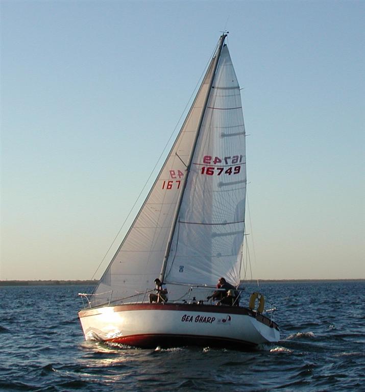 Sea Sharp1