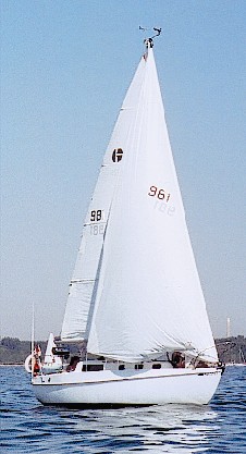 aftica2