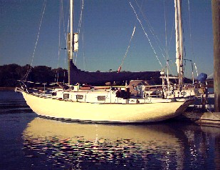 Yellow Rose at Berth 2.jpg