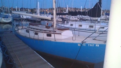 IMAG0048(Small)