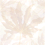 wb007031.gif