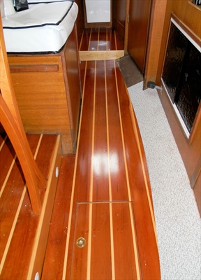 Sole 4(Small).jpg