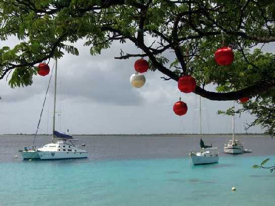 carribean g26.jpg
