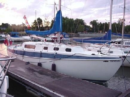 bald_eagle_starboard.jpg