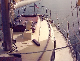 yellow rose deck.jpg