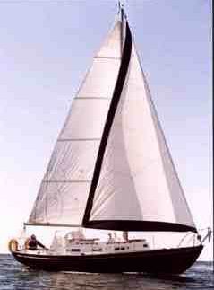 clasic31.jpg